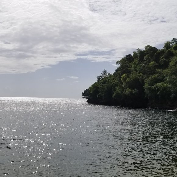 Meet your Posher, Marvin - Picture 8 of 8